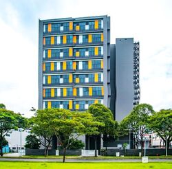 Mauser Singapore (D22), Factory #498081521